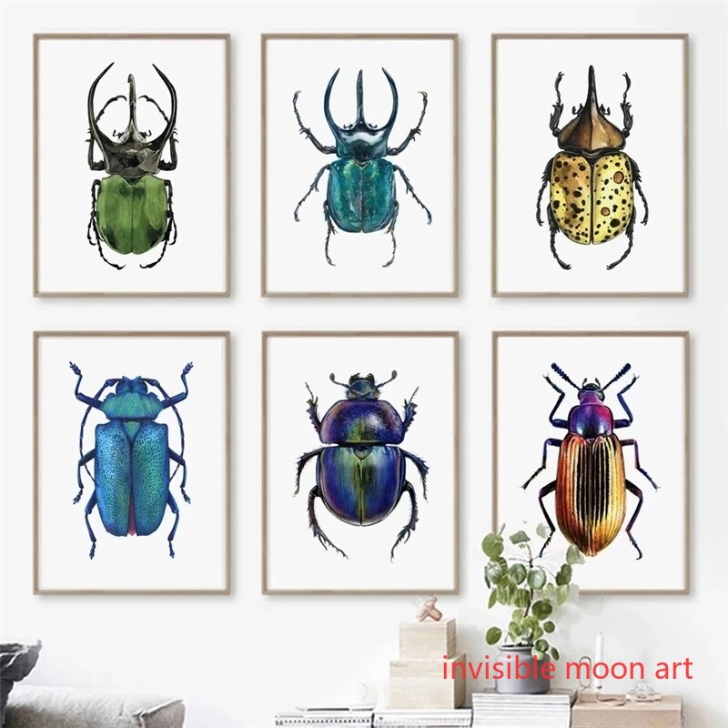 Arte de insectos Vintage, Seri - Vintage Collectible Posters reseña y precio